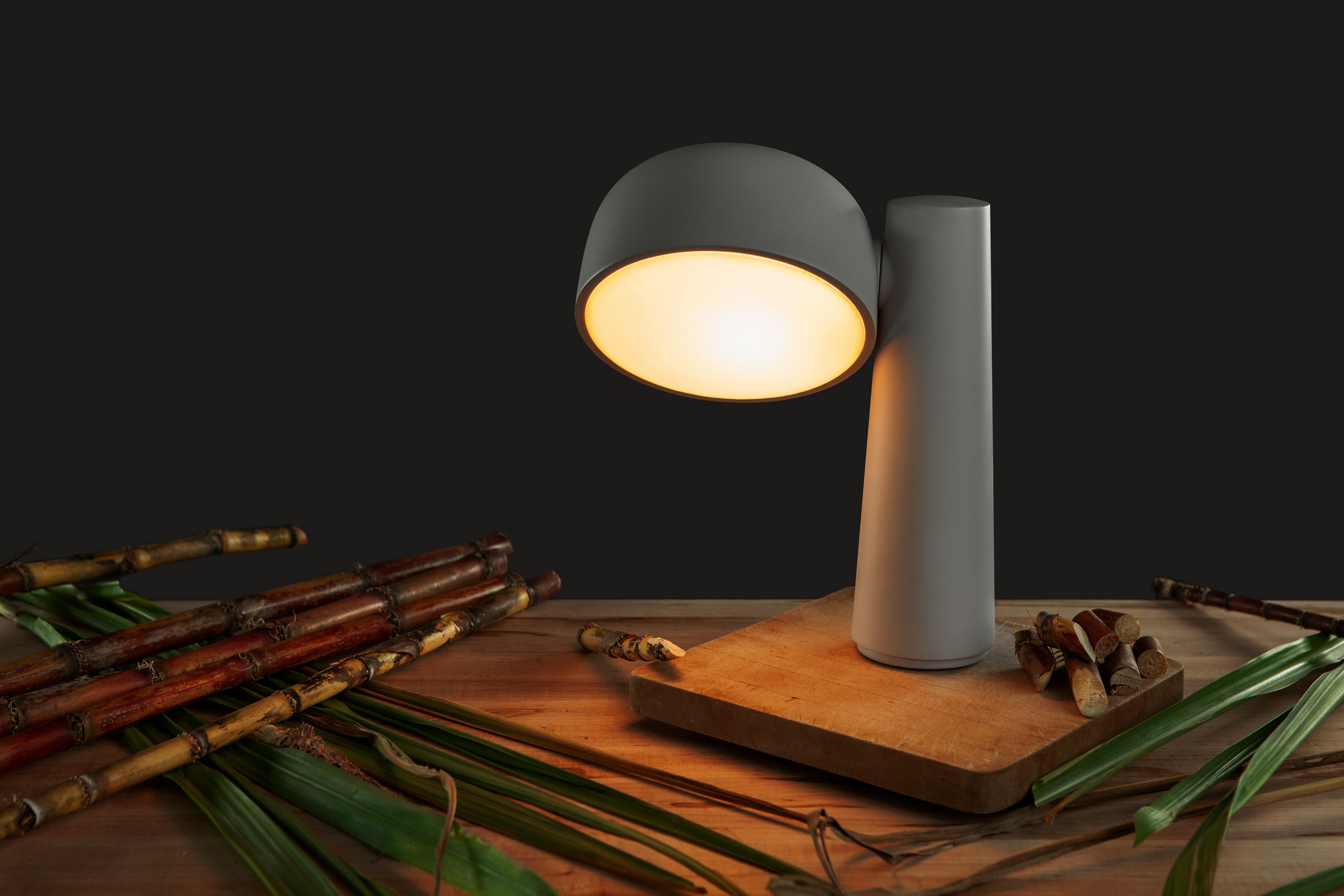 Designer light, printed by Gantri Designer light, printed by Gantri.