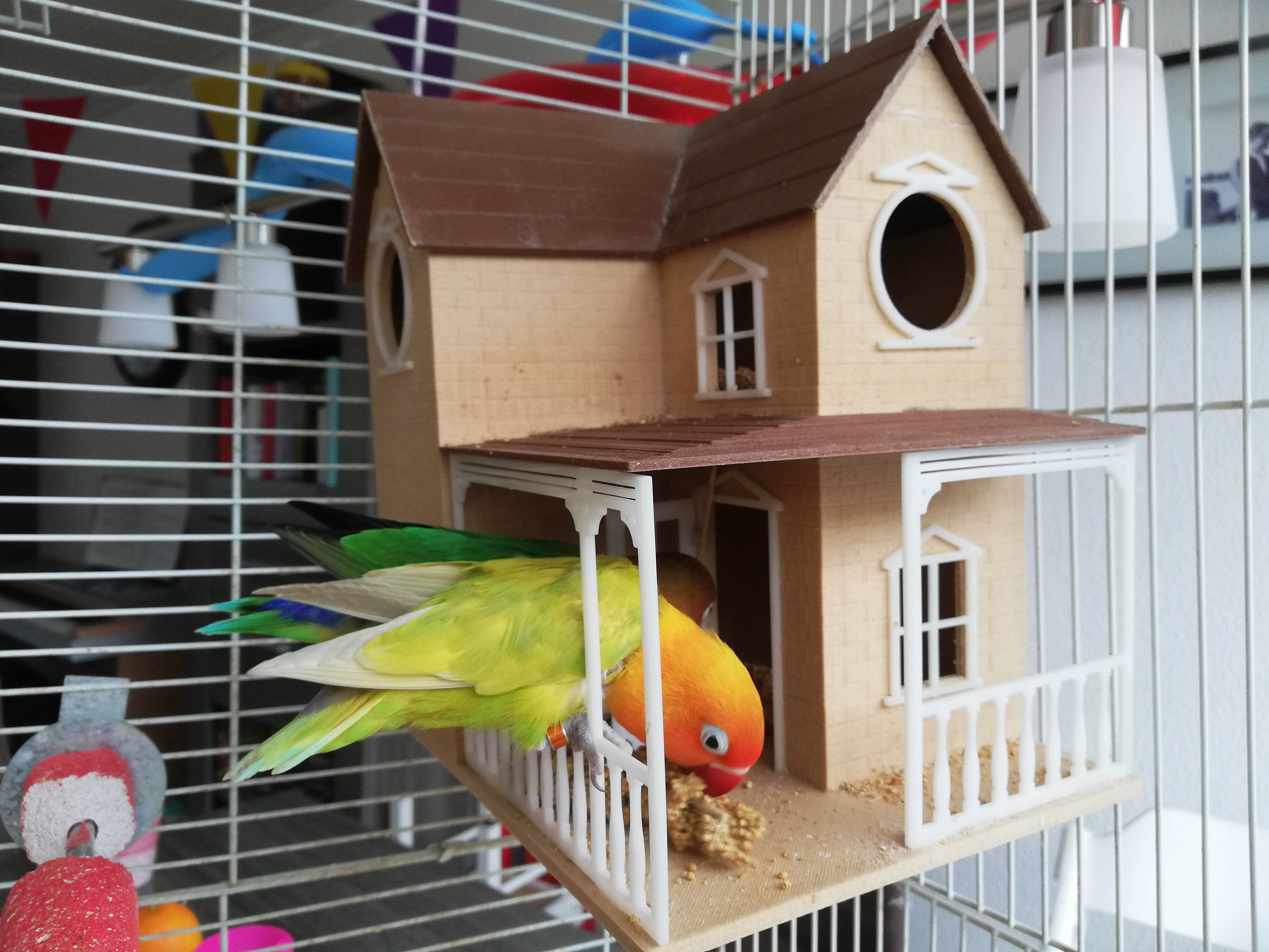Bird house made with woodFill Bird house made with woodFill